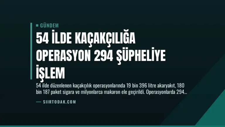 54 İlde Kaçakçılığa Operasyon 294 Şüpheliye İşlem