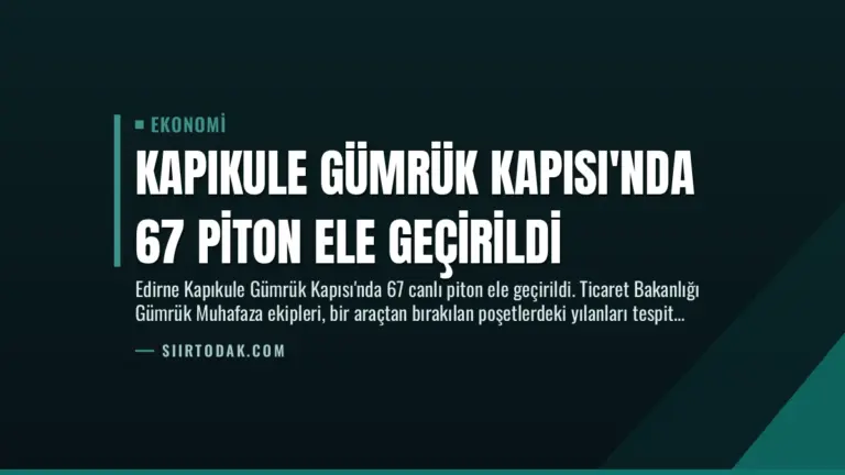 Kapıkule Gümrük Kapısı’nda 67 Piton Ele Geçirildi