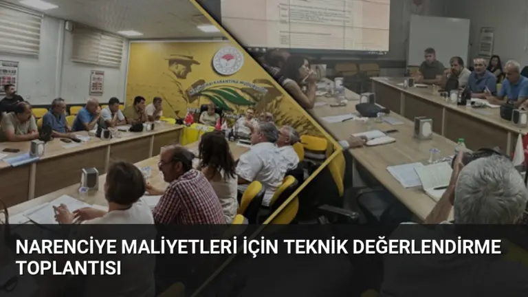 Narenciye Maliyetleri İçin Teknik Değerlendirme Toplantısı