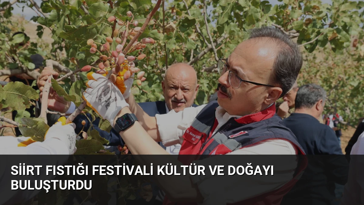 Siirt Fıstığı Festivali Kültür ve Doğayı Buluşturdu
